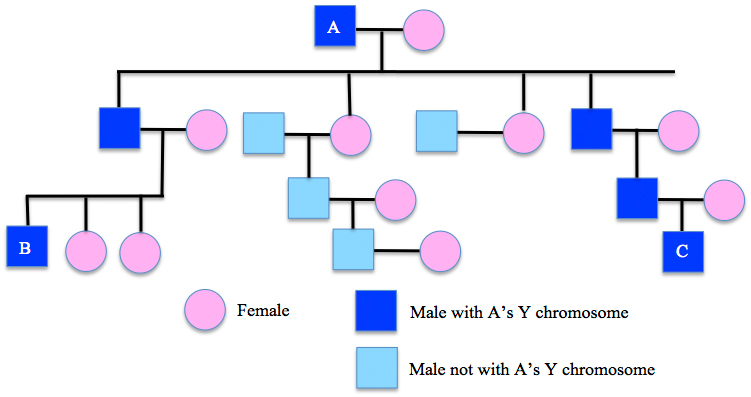 Image of Descendant Chart